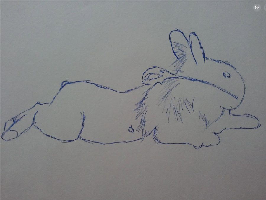 Blue-ink sketch of a rabbit stretched out in a sploot.