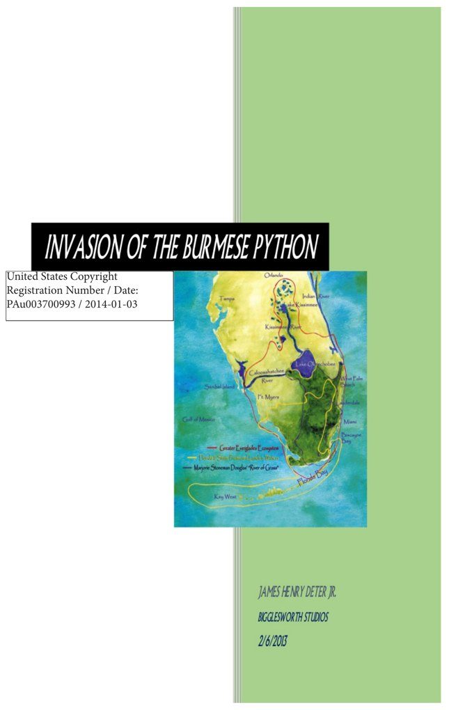 Cover of the original 2013 Invasion of the Burmese Python design document, with a map of the Florida Everglades