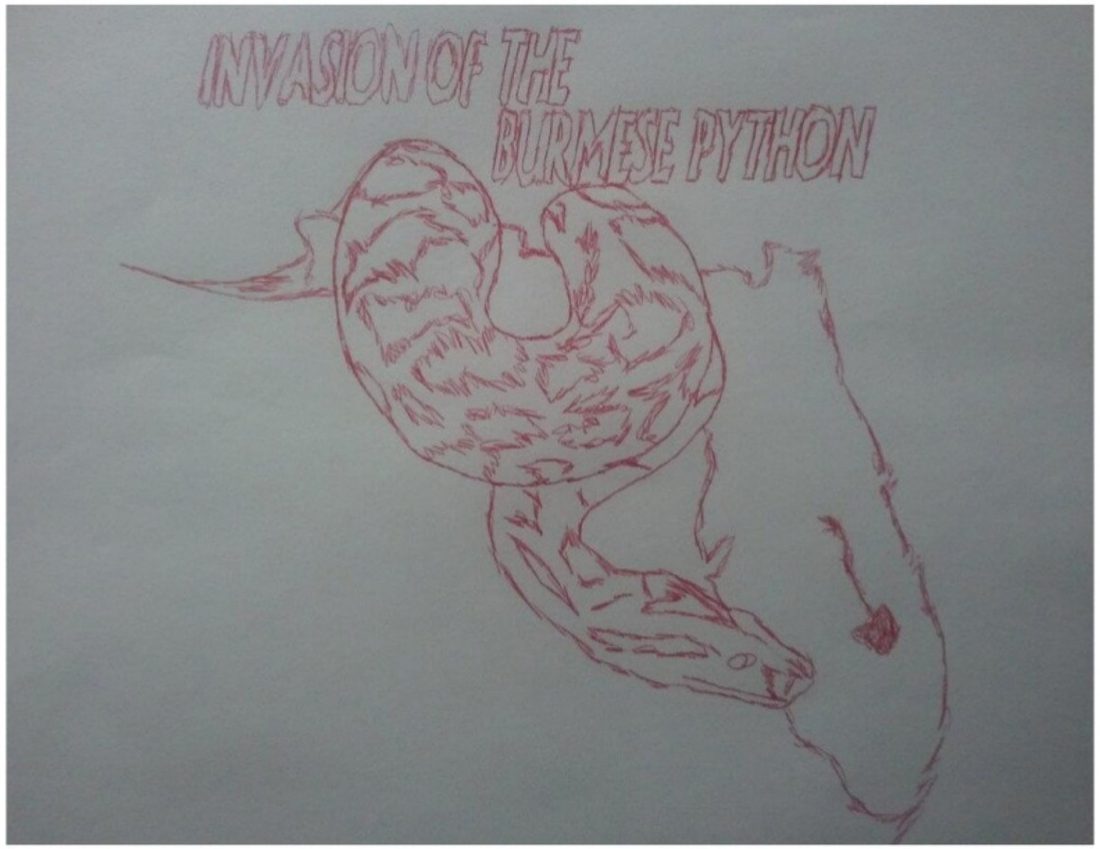 The creator's red-ink sketch: a python coiled around Florida under the hand-lettered title.