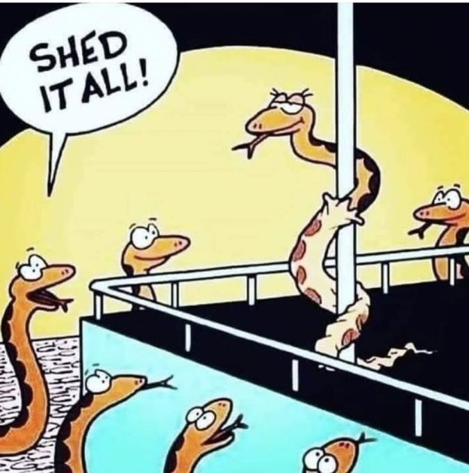 Shed It All! — Snake on a dance pole cartoon